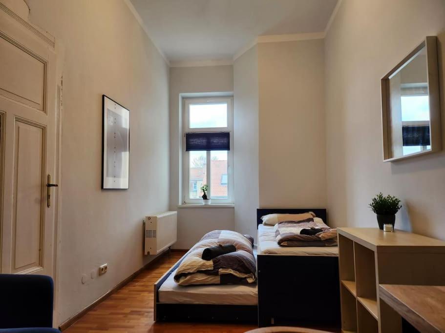 4 Raum Wohnung Mit Balkon Auf 120Sqm In Top Lage Dresden Exterior photo